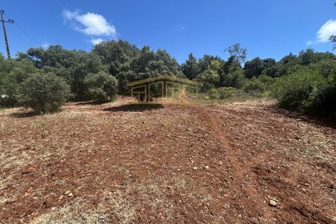 Helårsgrund i Almancil, Faro, Almancil - € 697.000 | Ref: PBI-1398 - foto 7