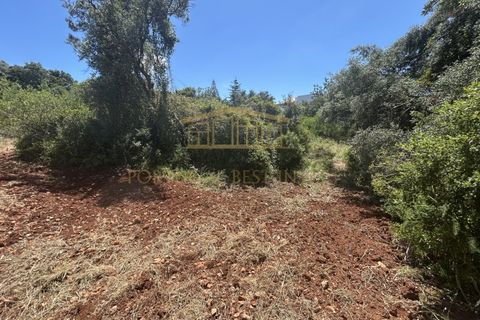 Helårsgrund i Almancil, Faro, Almancil - € 697.000 | Ref: PBI-1398 - foto 8