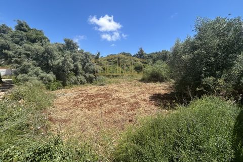 Helårsgrund i Almancil, Faro, Almancil - € 697.000 | Ref: PBI-1398 - foto 9
