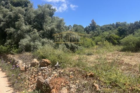 Helårsgrund i Almancil, Faro, Almancil - € 697.000 | Ref: PBI-1398 - foto 12