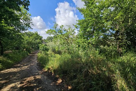 Tomt i Calvi Risorta, Caserta, Calvi Risorta - € 12 900 | Ref: 12900terreno - foto 2