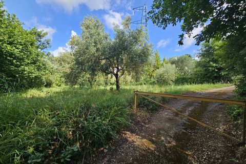 Tomt i Calvi Risorta, Caserta, Calvi Risorta - € 12 900 | Ref: 12900terreno - foto 3