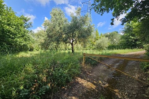 Tomt i Calvi Risorta, Caserta, Calvi Risorta - € 12 900 | Ref: 12900terreno - foto 4