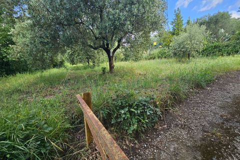 Tomt i Calvi Risorta, Caserta, Calvi Risorta - € 12 900 | Ref: 12900terreno - foto 5
