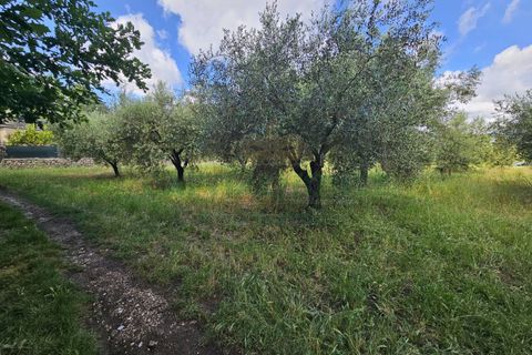 Tomt i Calvi Risorta, Caserta, Calvi Risorta - € 12 900 | Ref: 12900terreno - foto 6