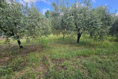 Tomt i Calvi Risorta, Caserta, Calvi Risorta - € 12 900 | Ref: 12900terreno - foto 7