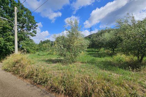 Tomt i Calvi Risorta, Caserta, Calvi Risorta - € 12 900 | Ref: 12900terreno - foto 8