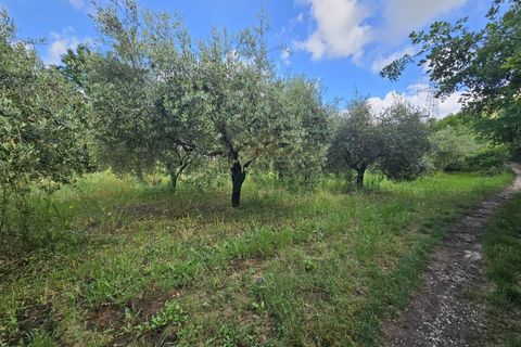 Tomt i Calvi Risorta, Caserta, Calvi Risorta - € 12 900 | Ref: 12900terreno - foto 9