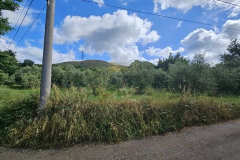 Tomt i Calvi Risorta, Caserta, Calvi Risorta - € 12 900 | Ref: 12900terreno - foto 10