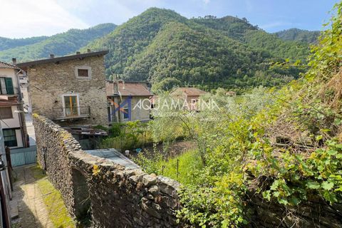 Lejlighed i Isolabona, Imperia, Isolabona - € 29.000 | Ref: 14209 - foto 2