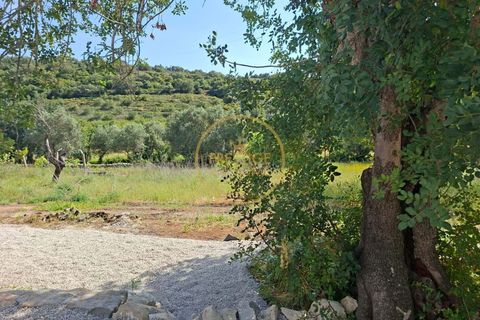 Villa a Estoi, Faro, Estoi - € 875.000 | Ref: 1149-53 - foto 43