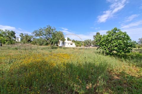 Villa a Estoi, Faro, Estoi - € 875.000 | Ref: 1149-53 - foto 45