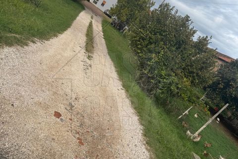Villa i Ospedaletto Euganeo, Padua, Ospedaletto Euganeo - € 130.000 | Ref: B248 - foto 24