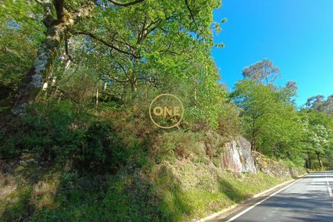 Tomt i Terras de Bouro, Braga, Terras de Bouro - € 27 500 | Ref: ONE141671-6 - foto 3