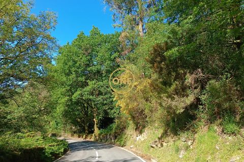 Tomt i Terras de Bouro, Braga, Terras de Bouro - € 27 500 | Ref: ONE141671-6 - foto 7