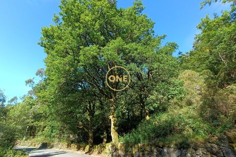 Tomt i Terras de Bouro, Braga, Terras de Bouro - € 27 500 | Ref: ONE141671-6 - foto 8