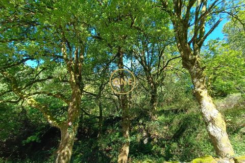 Tomt i Terras de Bouro, Braga, Terras de Bouro - € 27 500 | Ref: ONE141671-6 - foto 9