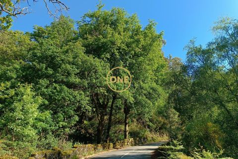 Tomt i Terras de Bouro, Braga, Terras de Bouro - € 27 500 | Ref: ONE141671-6 - foto 13