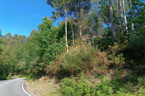 Tomt i Terras de Bouro, Braga, Terras de Bouro - € 27 500 | Ref: ONE141671-6 - foto 16