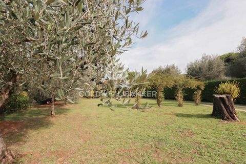 Villa a Velletri, Rome, Velletri - € 610.000 | Ref: CBI053-308-9823 - foto 9