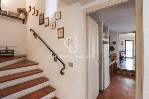 Villa a Velletri, Rome, Velletri - € 610.000 | Ref: CBI053-308-9823 - foto 32