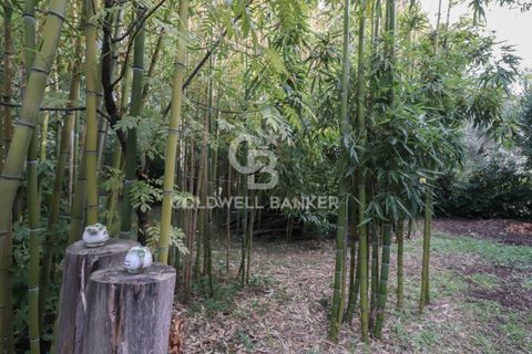 Villa a Velletri, Rome, Velletri - € 610.000 | Ref: CBI053-308-9823 - foto 49