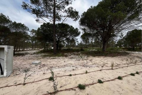 Helårsgrund i Comporta, Setubal, Comporta - € 1.055.000 | Ref: PAR_7647 - foto 9