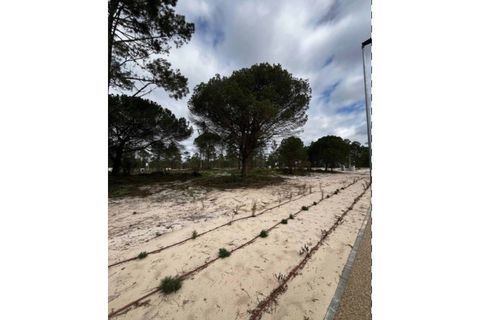 Helårsgrund i Comporta, Setubal, Comporta - € 1.055.000 | Ref: PAR_7647 - foto 10