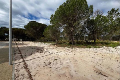 Helårsgrund i Comporta, Setubal, Comporta - € 1.055.000 | Ref: PAR_7647 - foto 11