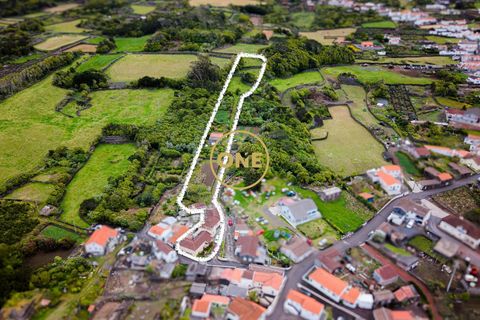 Byhus i Madalena, Pico, Madalena - € 325.000 | Ref: ONE401981-9 - foto 26