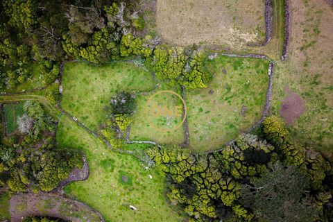 Byhus i Madalena, Pico, Madalena - € 325.000 | Ref: ONE401981-9 - foto 27