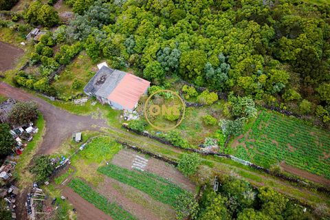 Byhus i Madalena, Pico, Madalena - € 325.000 | Ref: ONE401981-9 - foto 28