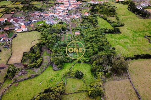 Byhus i Madalena, Pico, Madalena - € 325.000 | Ref: ONE401981-9 - foto 29