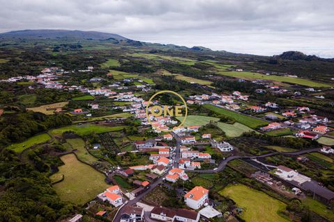 Byhus i Madalena, Pico, Madalena - € 325.000 | Ref: ONE401981-9 - foto 30