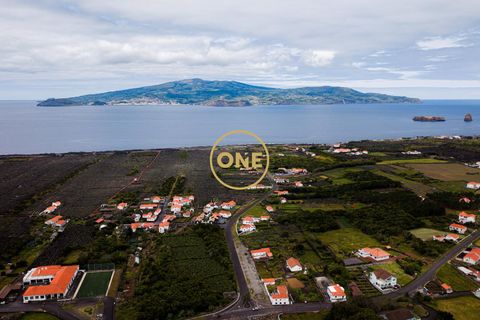 Byhus i Madalena, Pico, Madalena - € 325.000 | Ref: ONE401981-9 - foto 32