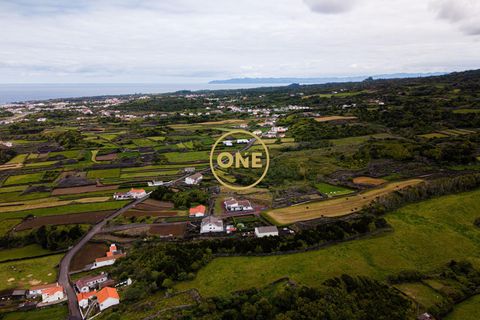 Byhus i Madalena, Pico, Madalena - € 325.000 | Ref: ONE401981-9 - foto 33