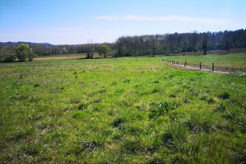 Terra a Marciac, Gers, Marciac - € 18.000 | Ref: CT2779 - foto 5