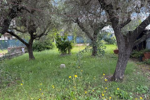 Byhus i Luni, La Spezia, Luni - € 240.000 | Ref: 3602 - foto 12