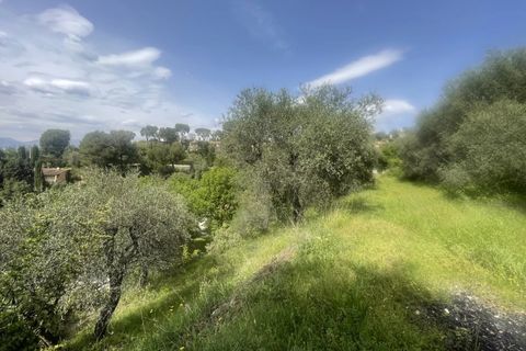 Terra a Colomars, Alpes-Maritimes, Colomars - € 240.000 | Ref: 83633695 - foto 3