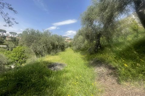 Terra a Colomars, Alpes-Maritimes, Colomars - € 240.000 | Ref: 83633695 - foto 4