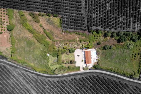 Villa i Silves, Faro, Silves - € 1.195.000 | Ref: EAV-4212 - foto 3