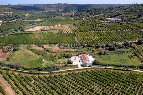Villa i Silves, Faro, Silves - € 1.195.000 | Ref: EAV-4212 - foto 45