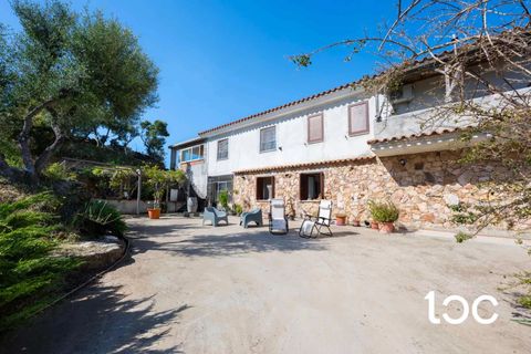 Villa i Torpe, Nuoro, Torpe - € 269.000 | Ref: PO1334 - foto 7