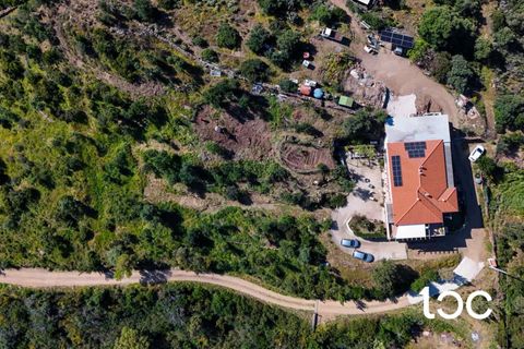 Villa i Torpe, Nuoro, Torpe - € 269.000 | Ref: PO1334 - foto 20