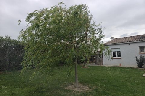 Villa i Brugairolles, Aude, Brugairolles - € 225.000 | Ref: 9366 - foto 16