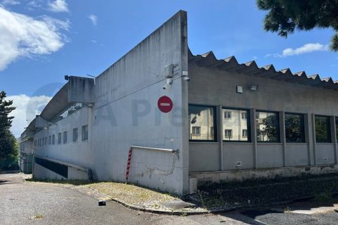 Erhvervsejendom i Carnaxide, Lisbon, Carnaxide - € 20.000.000 | Ref: 14230 - foto 2