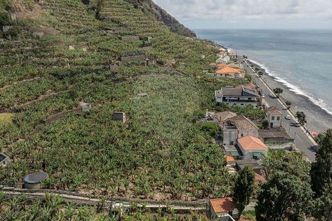 Masia a Ponta do Sol, Madeira, Ponta do Sol - € 3.500.000 | Ref: 123511222-333 - foto 2