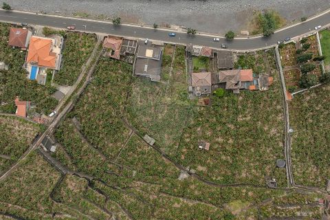 Masia a Ponta do Sol, Madeira, Ponta do Sol - € 3.500.000 | Ref: 123511222-333 - foto 4