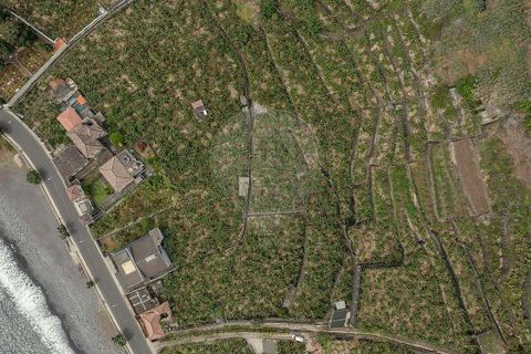 Masia a Ponta do Sol, Madeira, Ponta do Sol - € 3.500.000 | Ref: 123511222-333 - foto 5
