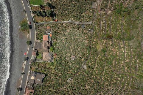 Masia a Ponta do Sol, Madeira, Ponta do Sol - € 3.500.000 | Ref: 123511222-333 - foto 26